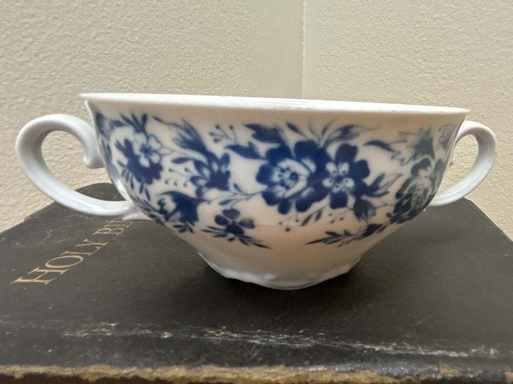 Seltmann Weiden Bavaria W. Germany Blue Floral Double Handle Soup Bowl